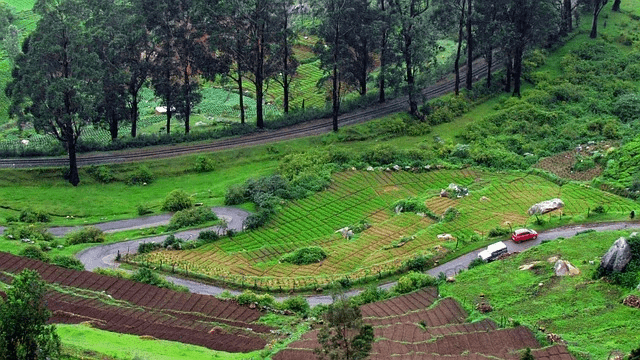 south india hill stations - ooty